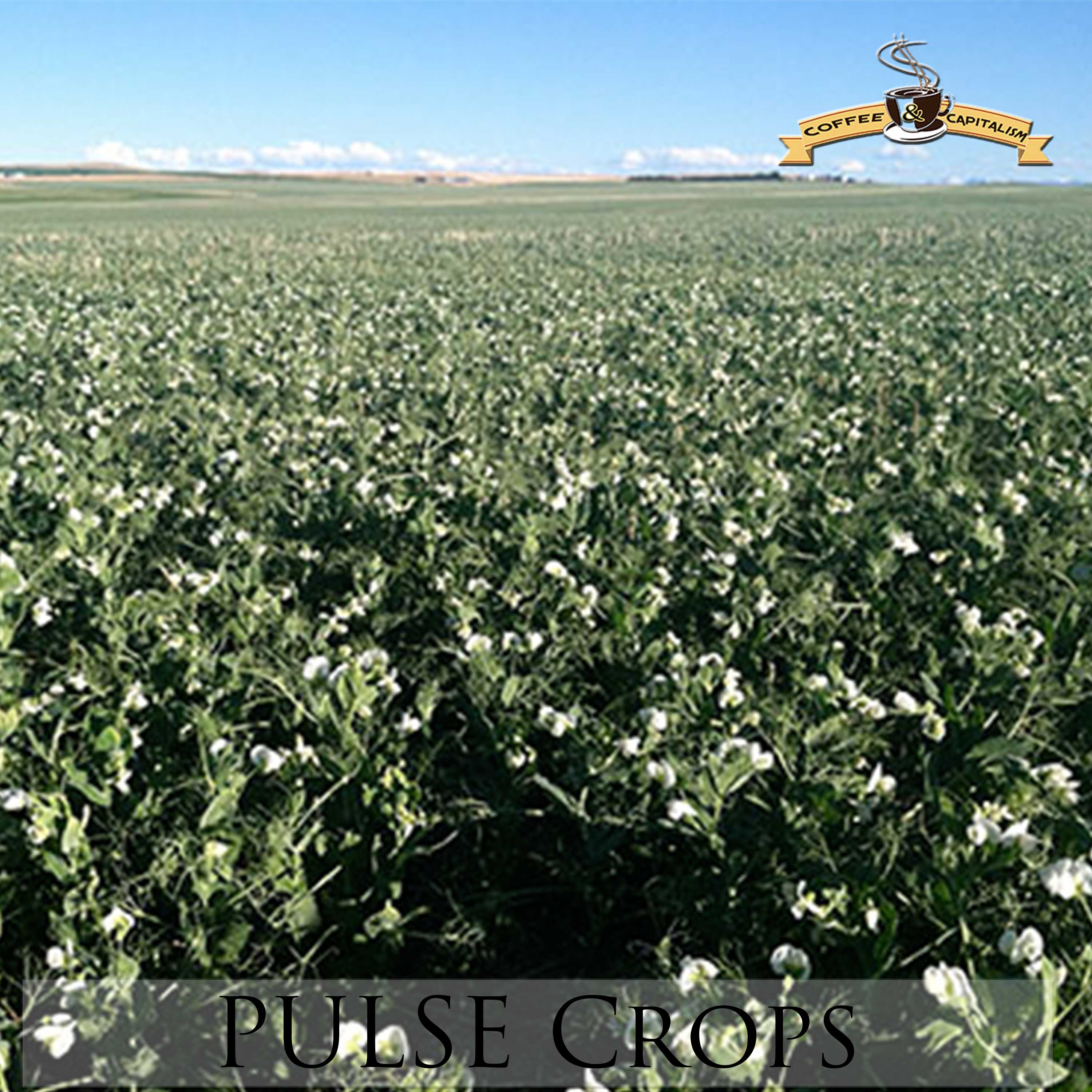 CCRadio_3000_pulse_crops