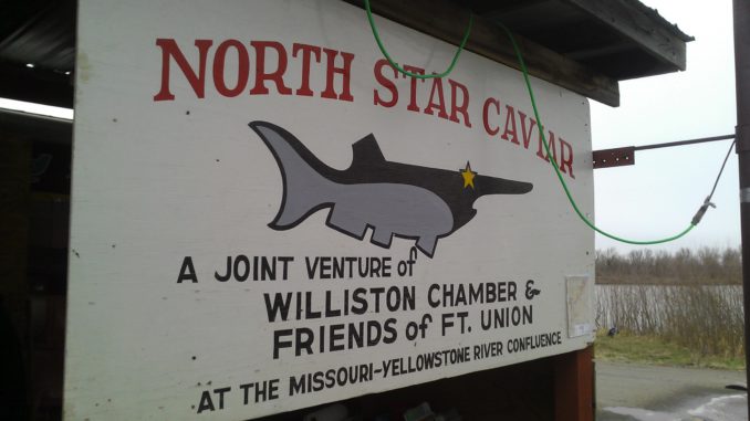 NSC_Paddlefish_Sign